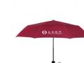 礼品雨伞，出门方便，企业定制